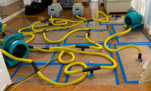 Professional Water Extraction technician working in Altoona, WI